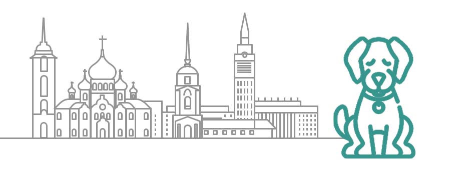 Познавательный курс VisitВоронеж