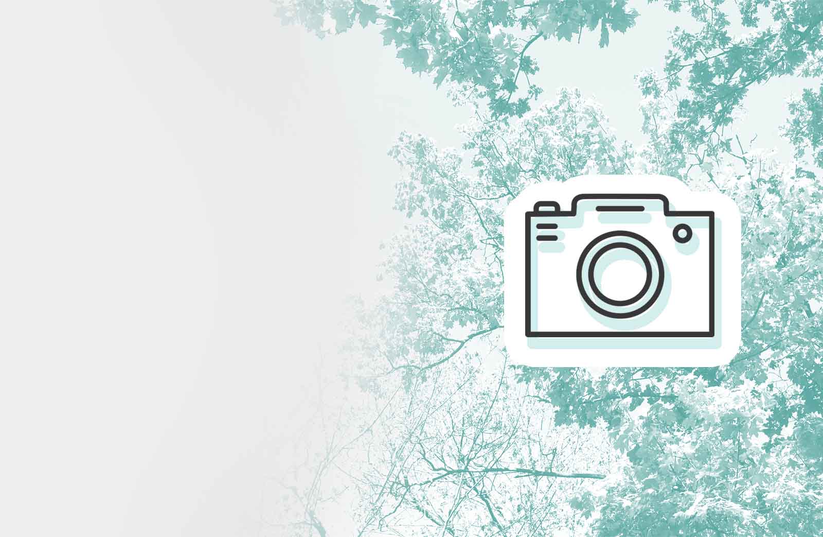 Мир глазами детей