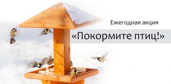 Урок экологии «Берегите птиц зимой»