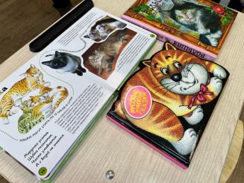 Тематическая программа «Усатики-полосатики»