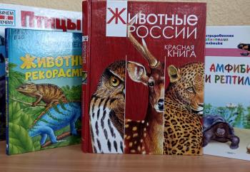 Мастер-класс «Зверушки-игрушки»