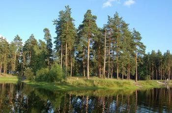 Авторская передача «Воронеж в свете историй: Усманский бор» 16+ Авторская передача «Воронеж в свете историй: Усманский бор» 16+