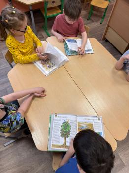 Экологическое путешествие «Тайны лесной тропинки» 6+ Экологическое путешествие «Тайны лесной тропинки» 6+