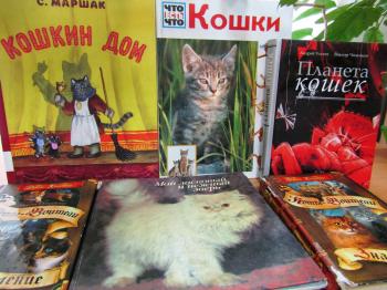 Познавательный час с викториной «Тигр, которого можно погладить»  к Всемирному дню кошек 