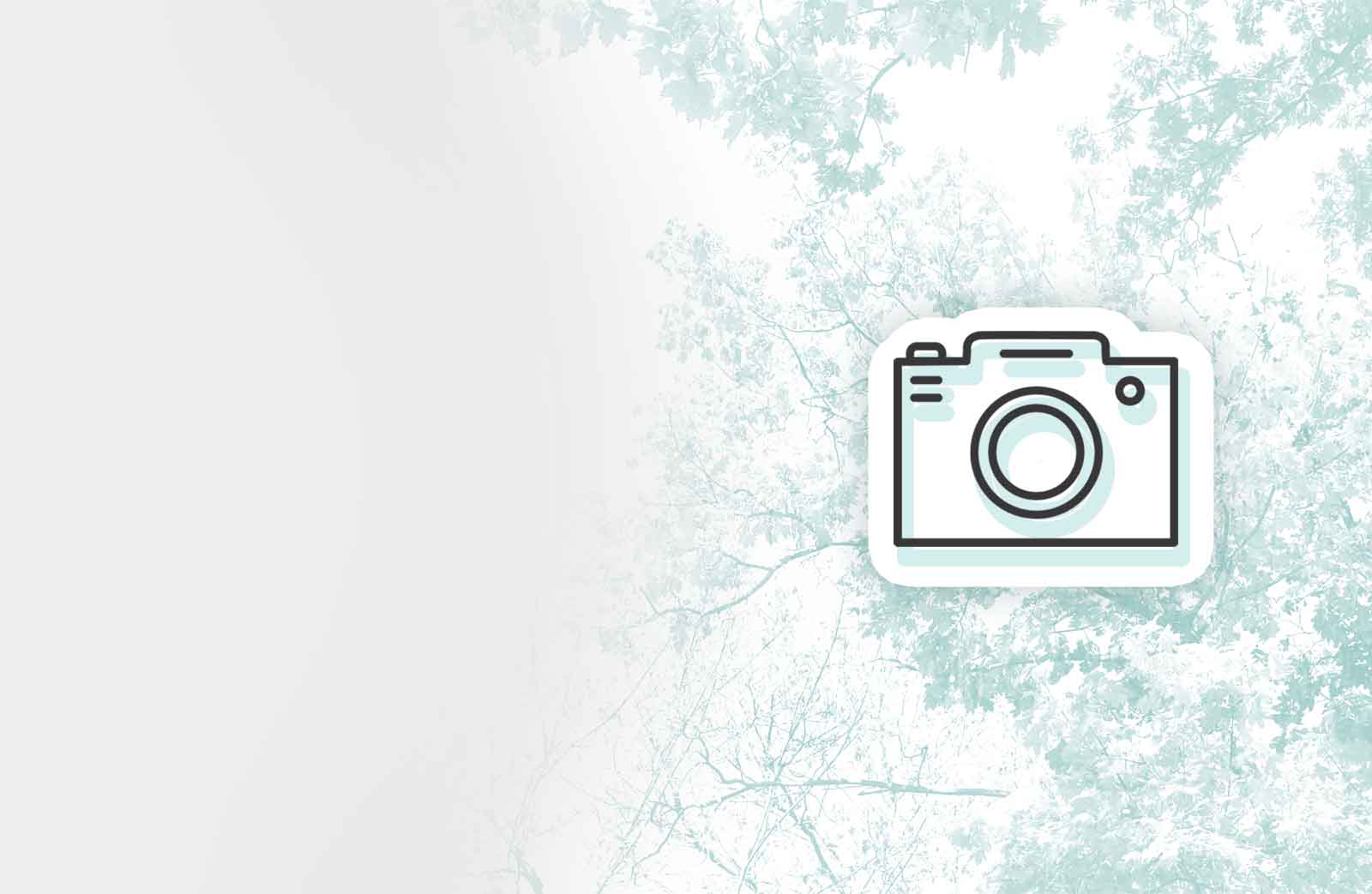 Пойман за чтением