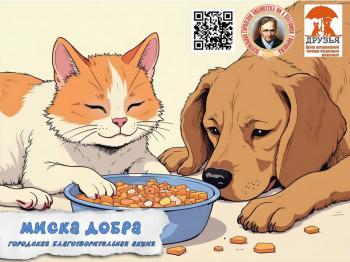 Акция «МИСКА ДОБРА»