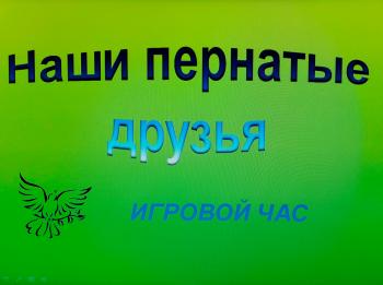 Игровой час «Наши пернатые друзья» Игровой час «Наши пернатые друзья»