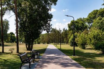 Библиотеки выходят в парки