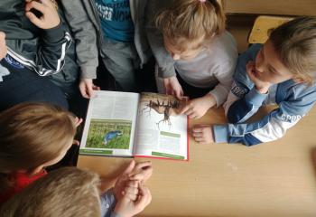 Тематический час «Красная книга России» Тематический час «Красная книга России»