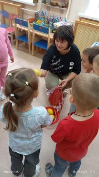Познавательная игра «Секреты в лукошке»