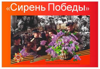 Виртуальная выставка «Сирень Победы»