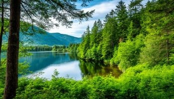 Литературно-экологический калейдоскоп «Загадки из леса» 