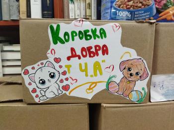 Мастер-класс "Четвероногий друг" в рамках  городской акции «МИСКА ДОБРА».