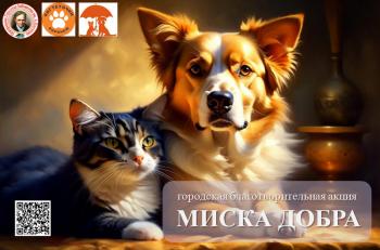 Городская благотворительная акция «МИСКА ДОБРА»