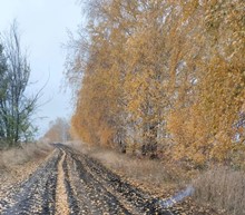 Гребенникова Наталья Сергеевна. 47 лет. Уж небо осенью дышало