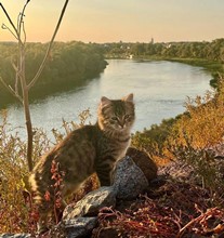 Антипова Елизавета, 6 лет. Волшебство родного края