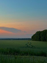 Зверева Евгения Геннадьевна. 21 год. Тропинка в беззаботное лето