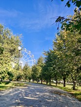 Коробская Юлия Олеговна. 37 лет. Осенняя магия.