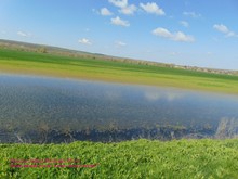 Осикова Любовь Ивановна. 55 лет. Песнь родной земли