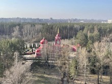 Соловых Марина Юрьевна. 43 года. Лес и купола