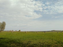 Шастовская сельская библиотека. Мой край.