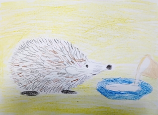 Шарапова София, 5 лет, «Страшный рассказ»